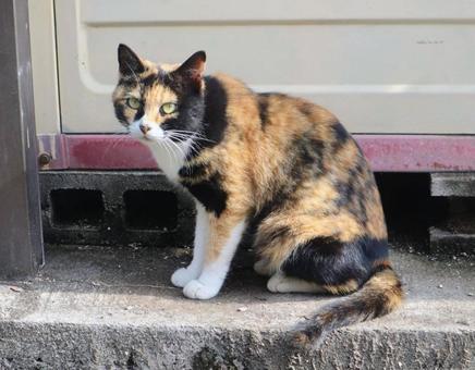 舟の守り神の写真