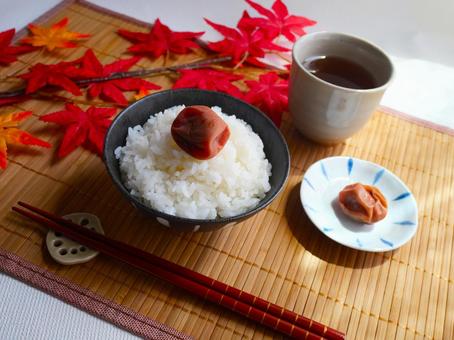 白いご飯と梅干し.2 白いご飯と梅干し.2 白ご飯,ご飯,新米の写真素材
