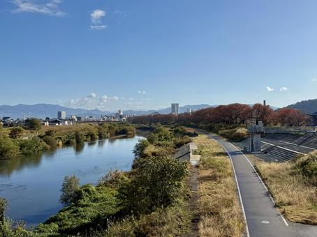 11月末の昼間　晩秋の福井県の足羽川 11月末,晩秋,景色の写真素材
