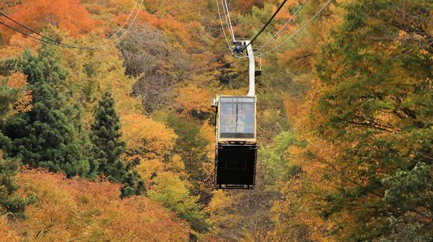 鮮やかな紅葉と富士山パノラマロープウェイ 紅葉,秋,富士山パノラマロープウェイの写真素材