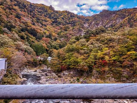 七ツ岩吊り橋から箒川紅葉を 七ツ岩吊り橋,箒川,紅葉の写真素材