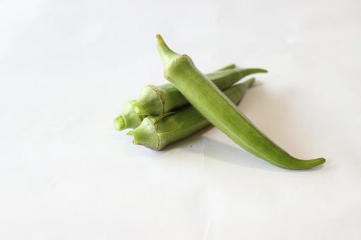 オクラ　おくら おくら,オクラ,陸蓮根の写真素材