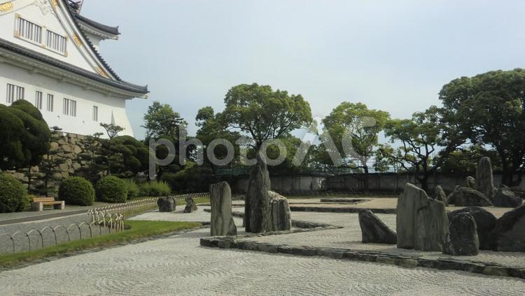 岸和田城の天守閣と庭園 岸和田,岸和田城,天守閣の写真素材