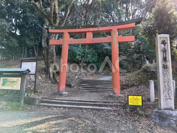 吉田神社　出町柳駅周辺　京阪　京都 吉田,神社,吉田神社の写真素材