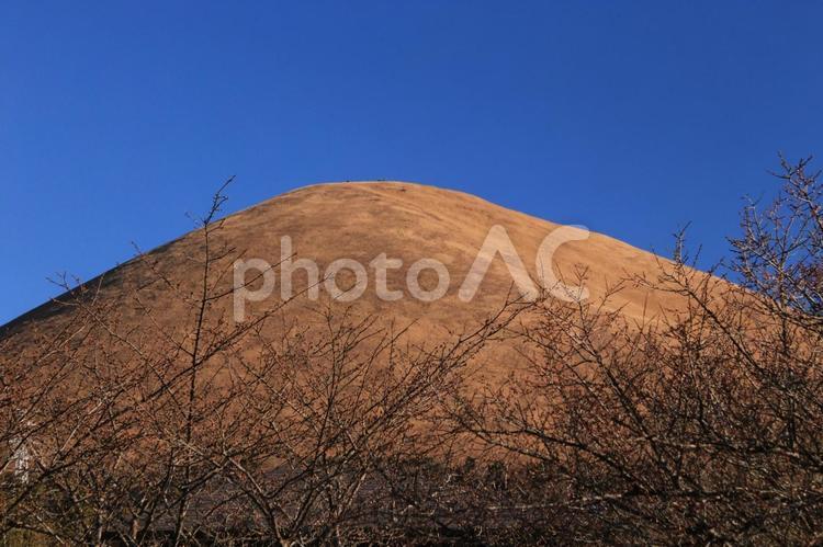 大室山の山焼き前の姿 大室山,青空,太陽の写真素材