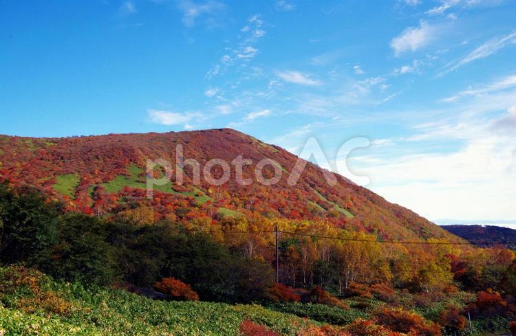 栃木県　那須町　紅葉シーズンの那須岳 那須,那須岳,茶臼岳の写真素材