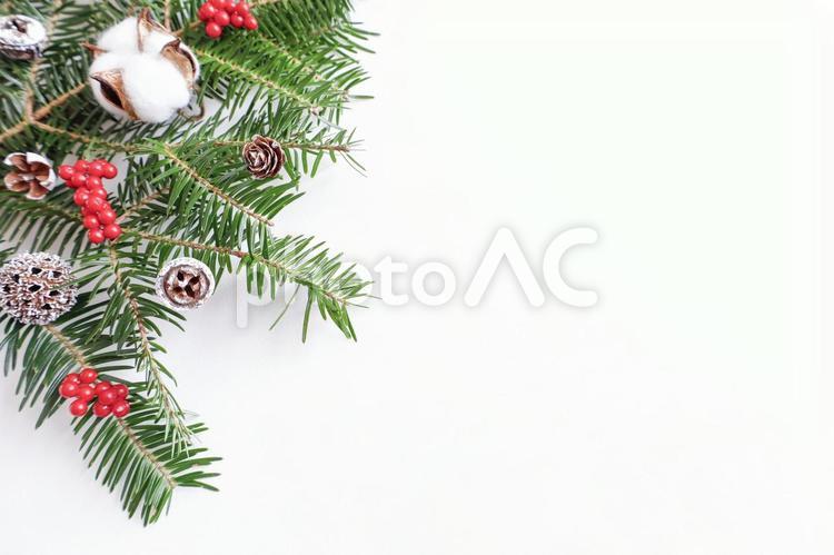 もみの木と木の実のクリスマスイメージ背景 クリスマス,ツリー,メリークリスマスの写真素材