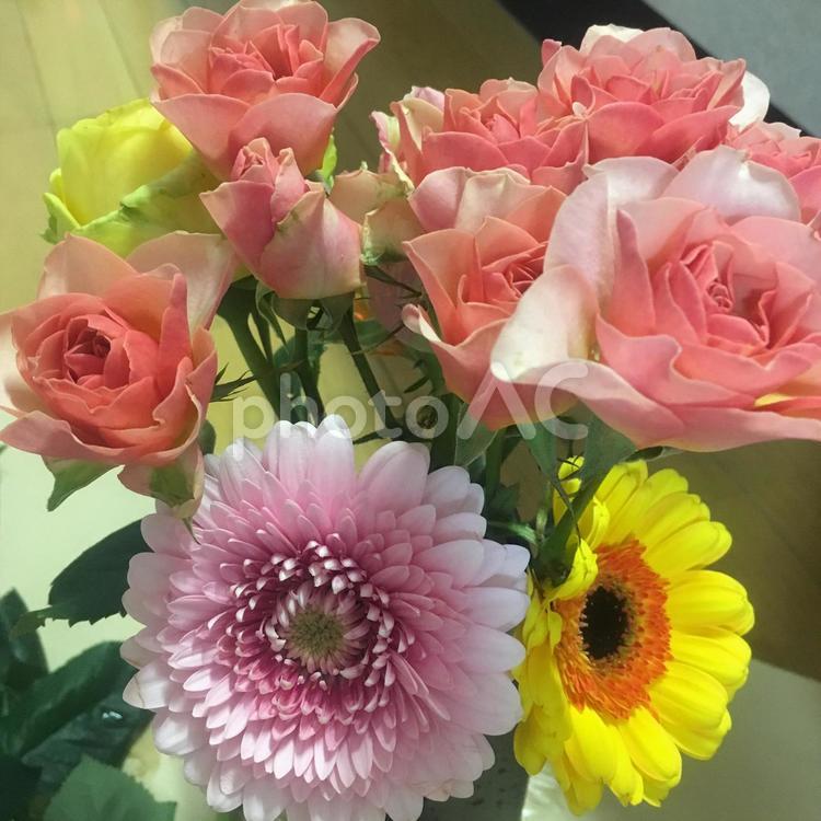 薔薇たちひまわりガーベラ 花,自然,花束の写真素材