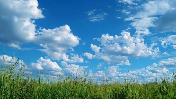 自然の美しさ:穏やかな丘と晴れた空 自然の美しさ:穏やかな丘と晴れた空の写真