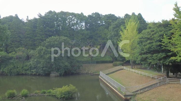 雨上がり霞む池 雨上がり,霞み,靄の写真素材