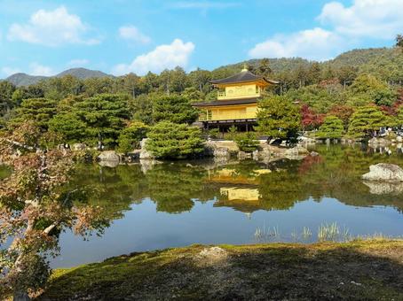 金閣寺/京都/秋 金閣寺/京都/秋 金閣寺,紅葉,秋の写真素材