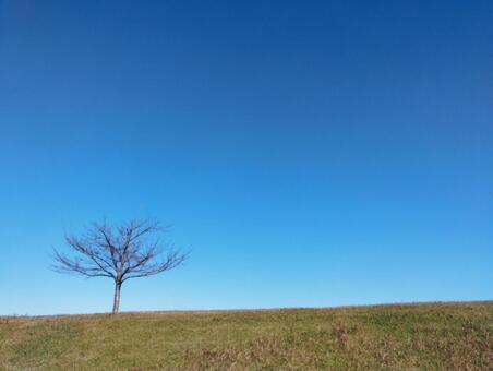秋空と土手 秋,青空,空の写真素材