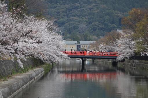 広道橋 広道橋の写真