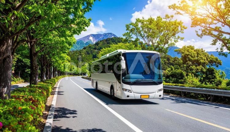 道路を走る観光バス 観光バス,車,運転の写真素材