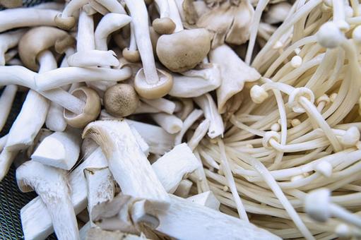 冬のお鍋の具材 きのこ類多め  冬のお鍋の具材 きのこ類多め  鍋,具材,野菜の写真素材