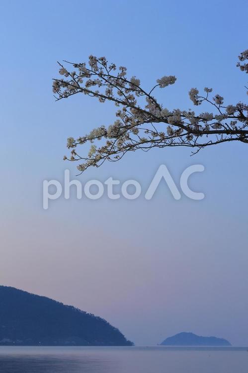 春は、あけぼの　静寂の夜明け 春,あけぼの,早朝の写真素材