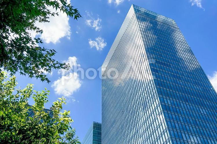 陽射しと雲が反射する都会の高層ビル	 オフィスビル,高層ビル,都市風景の写真素材