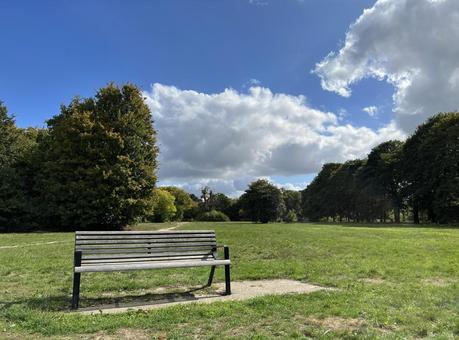 公園のベンチと青空(左) 公園のベンチと青空(左) ベンチ,公園,青空の写真素材
