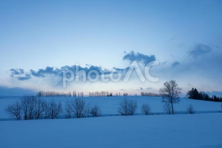 朝霧がかかった冬の丘 樹々,霧,日の出前の写真素材