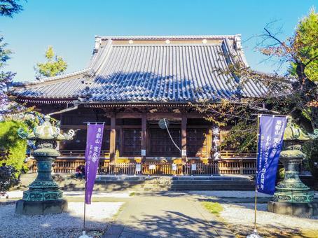 【東京都】台東区・寛永寺 【東京都】台東区・寛永寺 寛永寺,寺院,寺社仏閣の写真素材