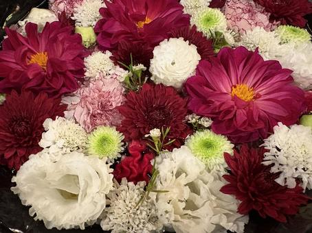 花手水 花手水 フラワーアレンジメント,カーネーション,オレンジの写真素材