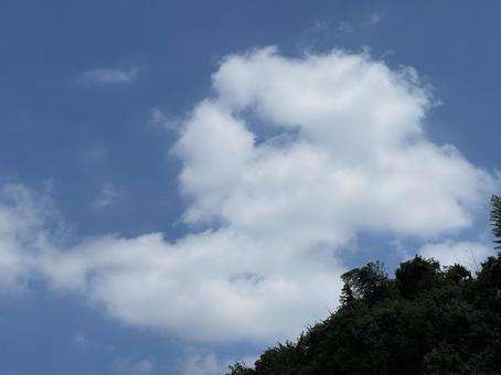 空に雲 空に雲の写真