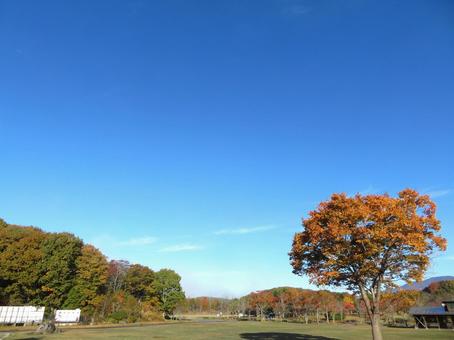会津レクリエーション公園（秋） 会津レクリエーション公園,公園,秋の写真素材