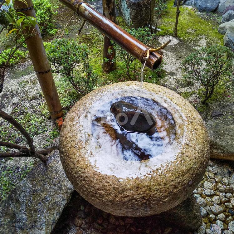 風流な美しい日本庭園 自然,木,木材の写真素材