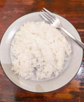 皿に盛られたご飯 皿に盛られたご飯の写真