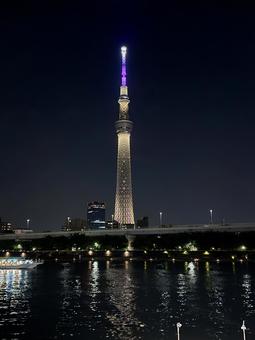 夏の空とバイオレットに光るスカイツリー 夏の空とバイオレットに光るスカイツリー 空,スカイツリー,塔の写真素材
