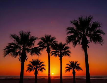 南国ビーチに沈む夕日とヤシの木の絶景素材 南国ビーチに沈む夕日とヤシの木の絶景素材の写真