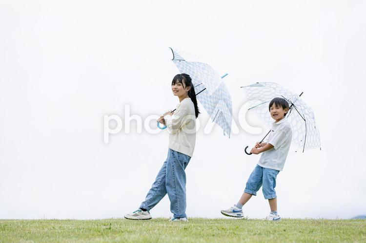 傘をさして楽しそうに歩く子ども 傘,雨降り,雨傘の写真素材