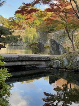 初紅葉 水鏡 西の丸庭園,紅葉渓庭園,初紅葉の写真素材