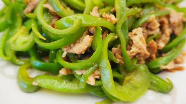 手作り・青椒肉絲（マクロ撮影） 青椒肉絲,手作り,ピーマンの写真素材