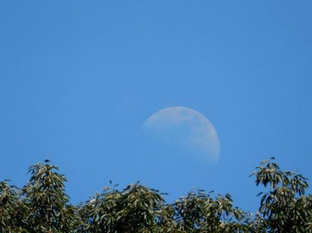 【風景写真】夏空 【風景写真】夏空の写真