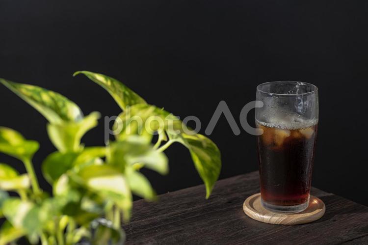 アイスコーヒーと観葉植物（ポトス） コップ,グラス,氷の写真素材