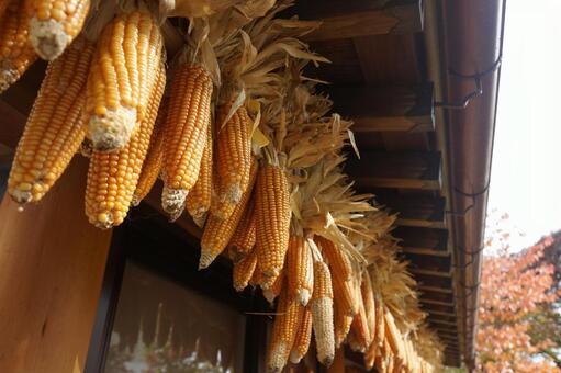 忍野八海 田舎,山梨県,忍野八海の写真素材