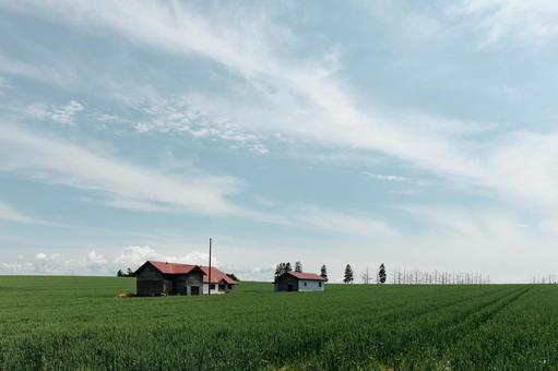 家のある丘の風景 家のある丘の風景 きれい,ゆとり,作物の写真素材