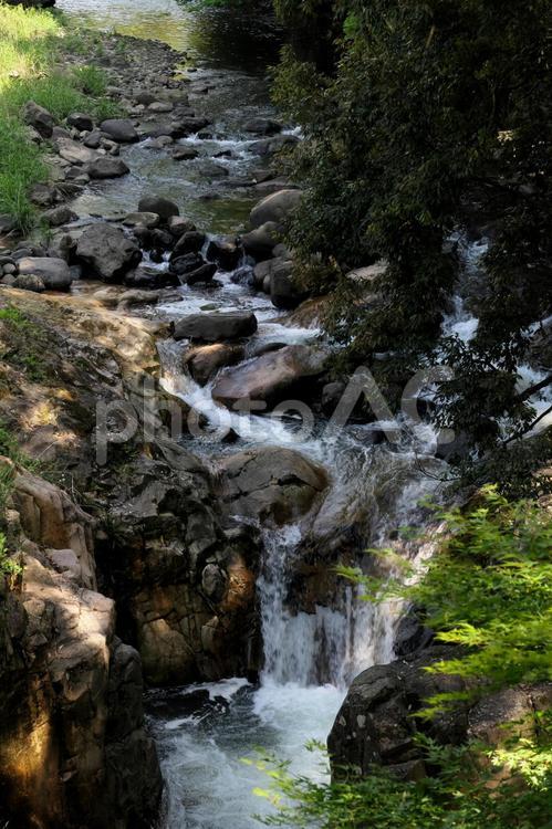 森の中の渓流と小さな滝 滝,水,自然の写真素材