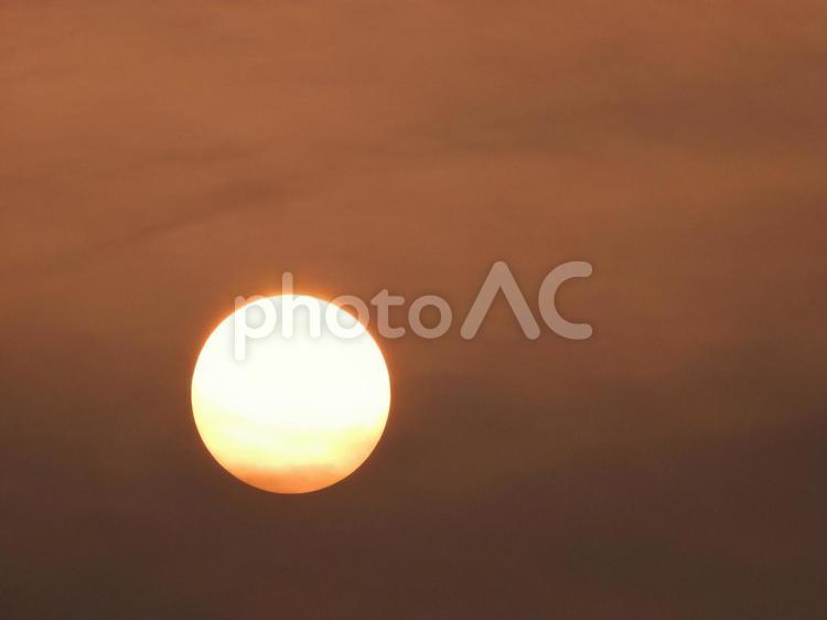 甲山森林公園　朝焼けの中昇る太陽 風景,太陽,日の出の写真素材