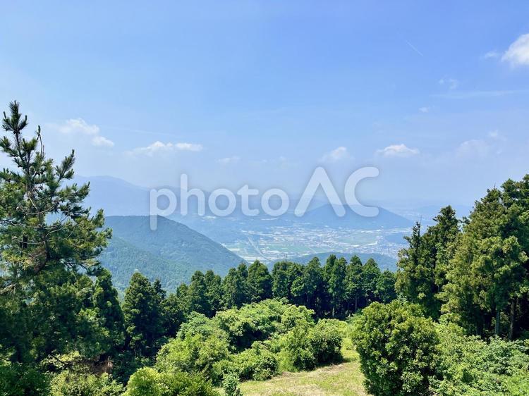 十坊山の山頂から眺める風景2 十坊山,木,自然の写真素材