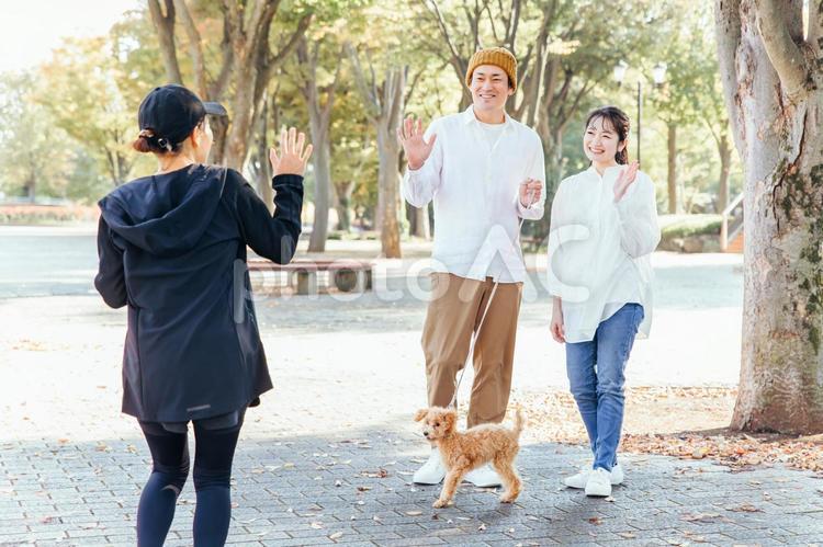 犬の散歩中に挨拶する男女 運動習慣,挨拶,散歩の写真素材