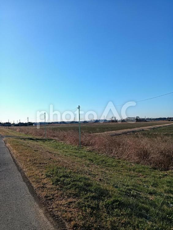 田舎の風景　空 田舎,空,自然の写真素材