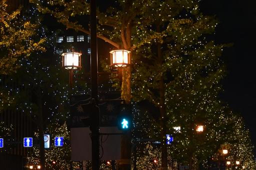 御堂筋イルミネーション 御堂筋,イルミネーション,夜景の写真素材
