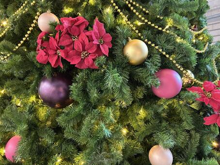 クリスマス クリスマス,クリスマスツリー,ツリーの写真素材