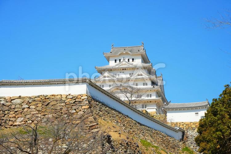 快晴の中の美しい日本の名城国宝姫路城 姫路城,白鷺城,名城の写真素材