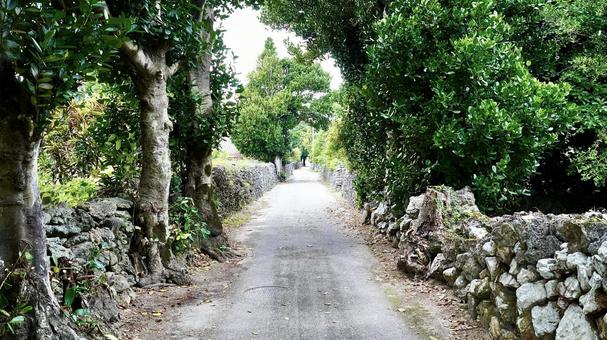 沖縄県伊是名島の街並み 沖縄県伊是名島の街並み 道路,伊是名,街並みの写真素材