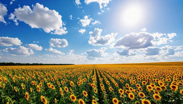 F_Stockphoto_6 F_Stockphoto_6の写真