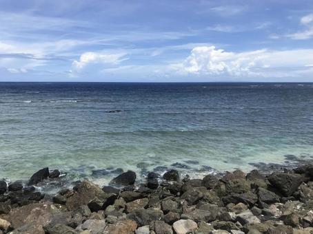 海(奄美大島) 海(奄美大島)の写真