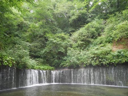 軽井沢 白糸の滝 軽井沢 白糸の滝 軽井沢,長野県,滝の写真素材